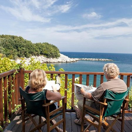 داموشاري Victoria'S Guesthouse المظهر الخارجي الصورة