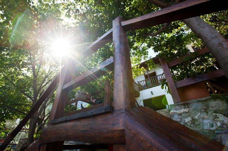 داموشاري Victoria'S Guesthouse المظهر الخارجي الصورة